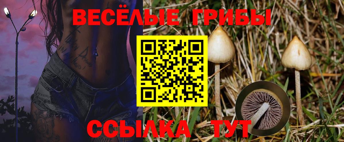 Псилоцибиновые грибы мицелий Бузулук