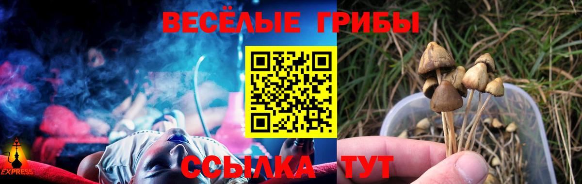 Галлюциногенные грибы Psilocybe  Вход с VPN  Бузулук 
